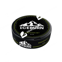 ICEBURN - SPEARMINT - Мятная Жвачка (60mg)